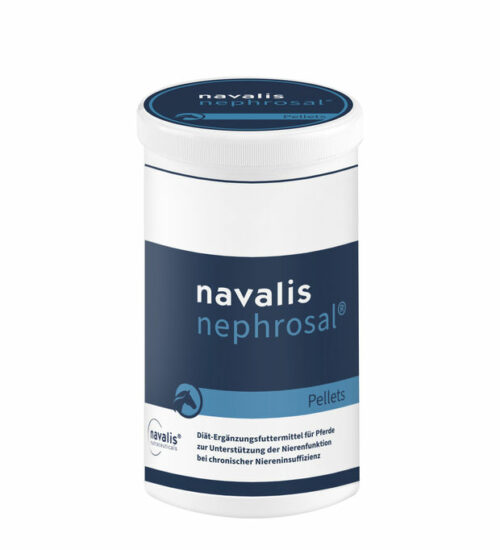 navalis nephrosal horse