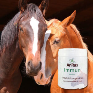 anra-immun-regulator-dose-pferd