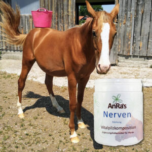 anra-nervenstaerkung-dose-pferd