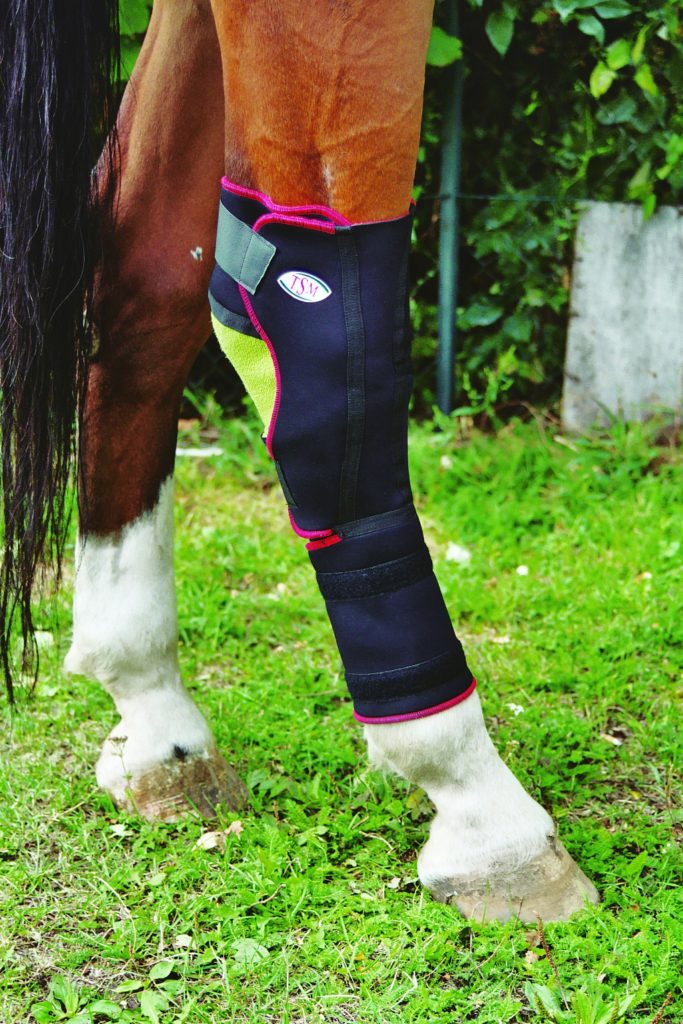 TSM vet VerbandsBandage Sprunggelenk für Pferde EQUISIO Shop