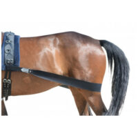 equest körper bandage für pferde