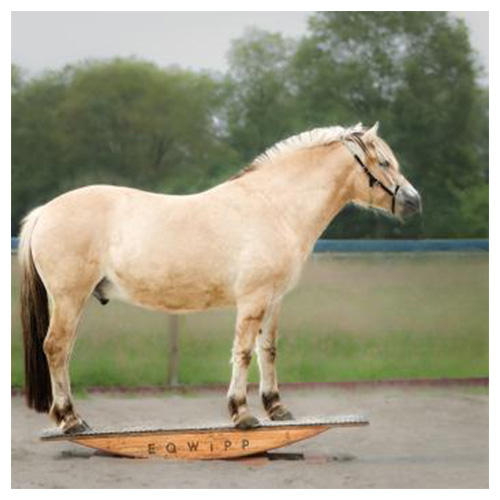eqwipp pferd wippe 200cm rockers