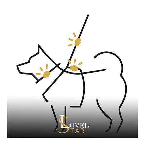 lovelstar led spot hund