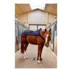 luxmy decke pferd led