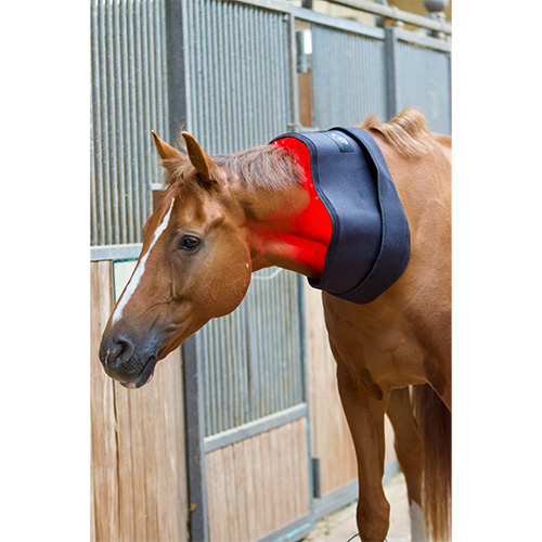 luxmy l pad led pferd lichttherapie