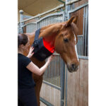 luxmy m-pad lichttherapie