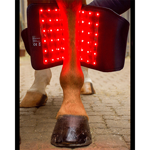 luxmy s-pad lichttherapie