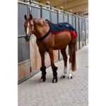 luxmy sorglos set decke gamasche pferd lichttherapie