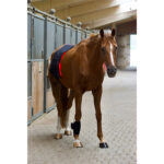 luxmy starter set decke gamasche pferd lichttherapie