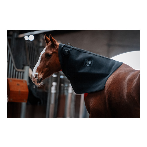 luxmy xl pad led pferd