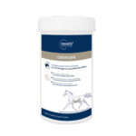 navalis coloncare horse