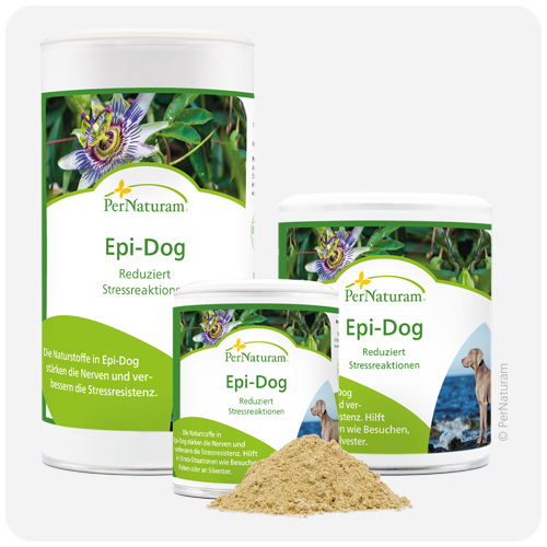 pernaturam epi dog hund