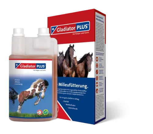 GladiatorPLUS <br class="clear" />Pferd <br class="clear" />